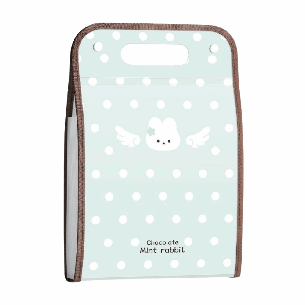 Rozszerzalna teczka na dokumen – Expandable Accordion File Folder 13 Pockets recenzja i cena